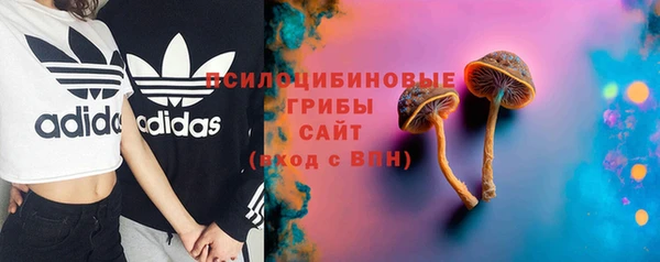 прущие крисы Дубна
