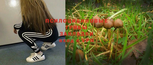 гидропоника Покачи