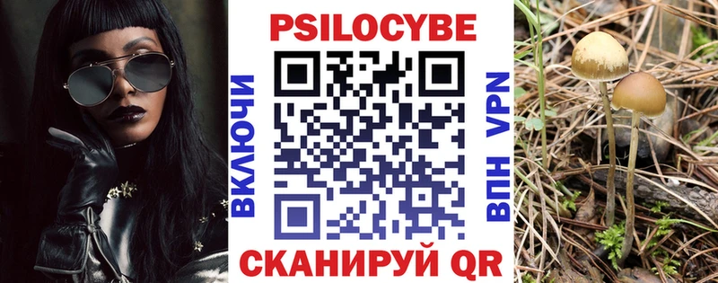 Псилоцибиновые грибы Psilocybine cubensis  Абаза 